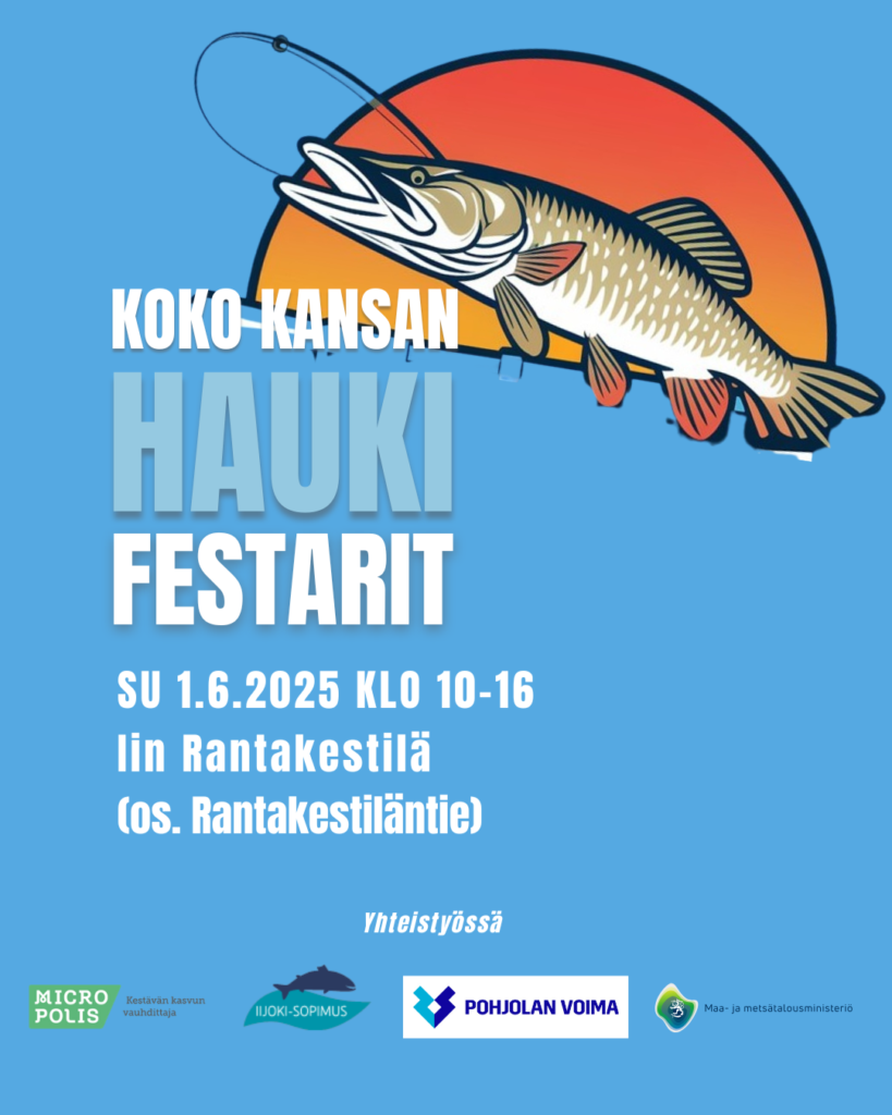 Hauki-festivaali Iissä 1.6.2025 klo 10-16