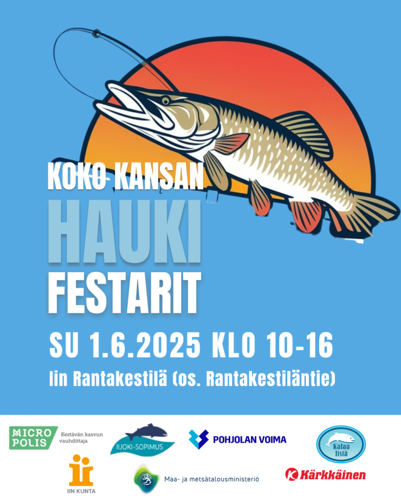 Koko Kansan Haukifestarit 2025 mainos