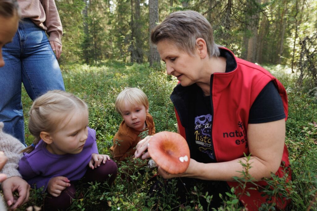Sieniopastus metsässä lapsille ja aikuiselle.