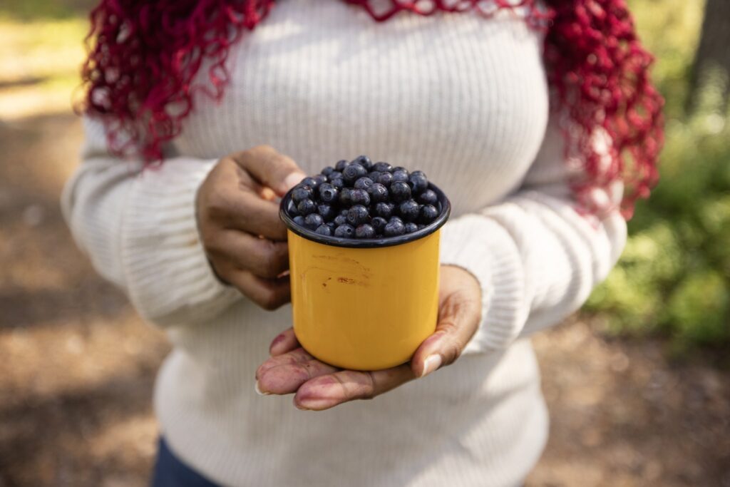 mustikoita emalimukissa